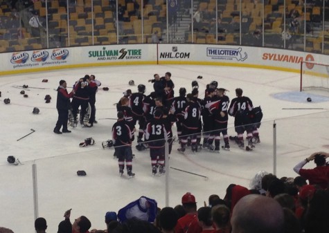 The Watertown High boys' hockey team celebrates its 2-1 victory at TD Garden on Sunday, March 15, 2015. The win brought Raiders the school's first MIAA Division 3 state hockey championship.