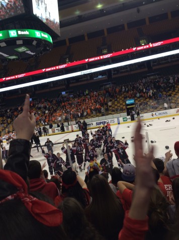 The Watertown High fan section and the Raiders hockey team celebrate the school's first MIAA Division 3 state championship. Watertown beat Agawam, 2-1, at TD Garden on Sunday, March 15, 2015.