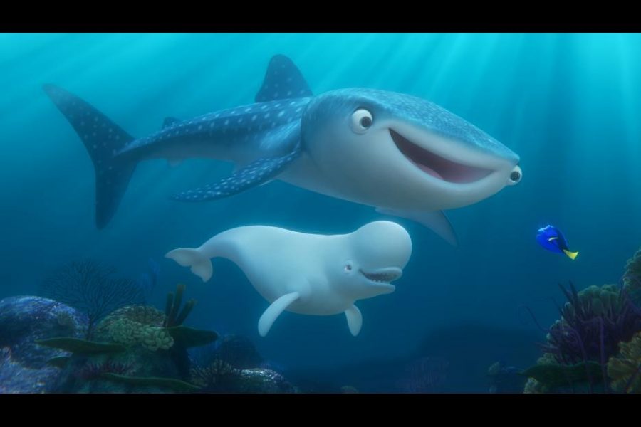 Destiny (top, voiced by Kaitlin Olson) and Bailey (voiced by Ty Burrell) are two excellent additions to Finding Dory.