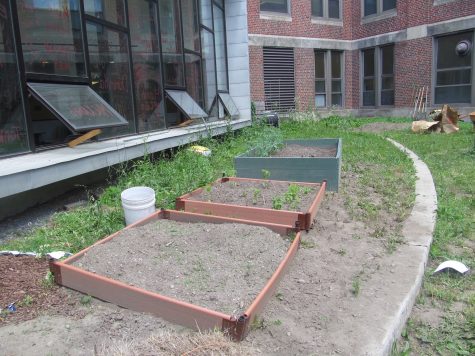 The courtyard gardens at Watertown High School as they appeared in the spring of 2016.