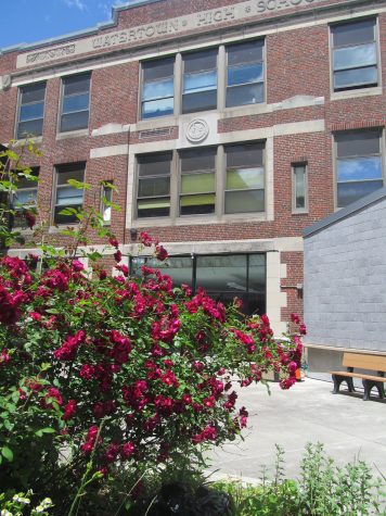 The courtyard gardens at Watertown High School as they appeared in the spring.