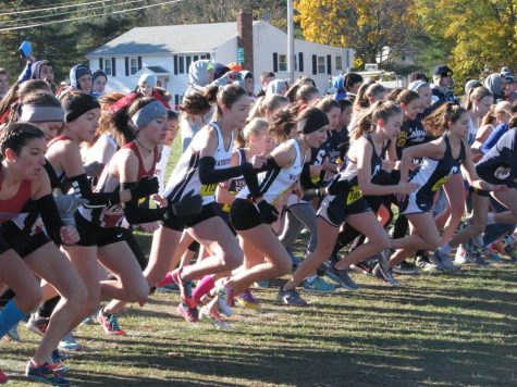 Watertown's Beth Powderly and Emily Koufos are front and center at the start of the Division 5 girls' race at the MIAA Divisional Cross-Country Championships at Wrentham Development Center Nov. 12, 2016. Koufos won the race in 19 minutes 5.96 seconds. Powderly finished in 19th place in 20:52.64. 