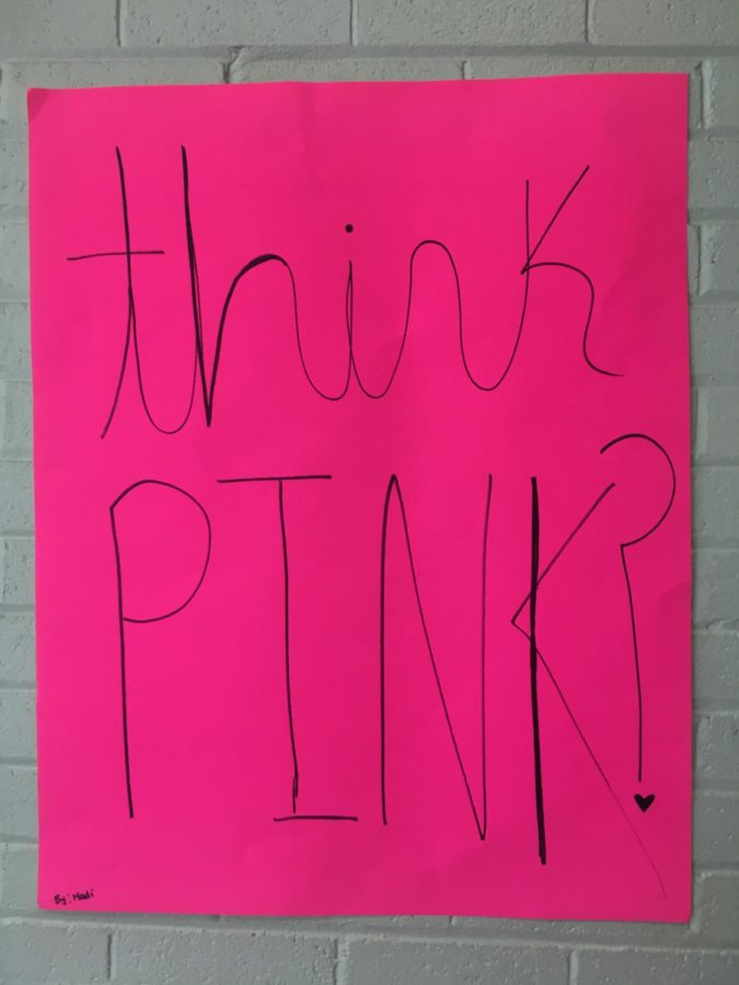 Signs and decorations filled the halls of Watertown High School for Think Pink Day on Oct. 17, 2017.
