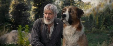 Harrison Ford is the human star of Call of the Wild.