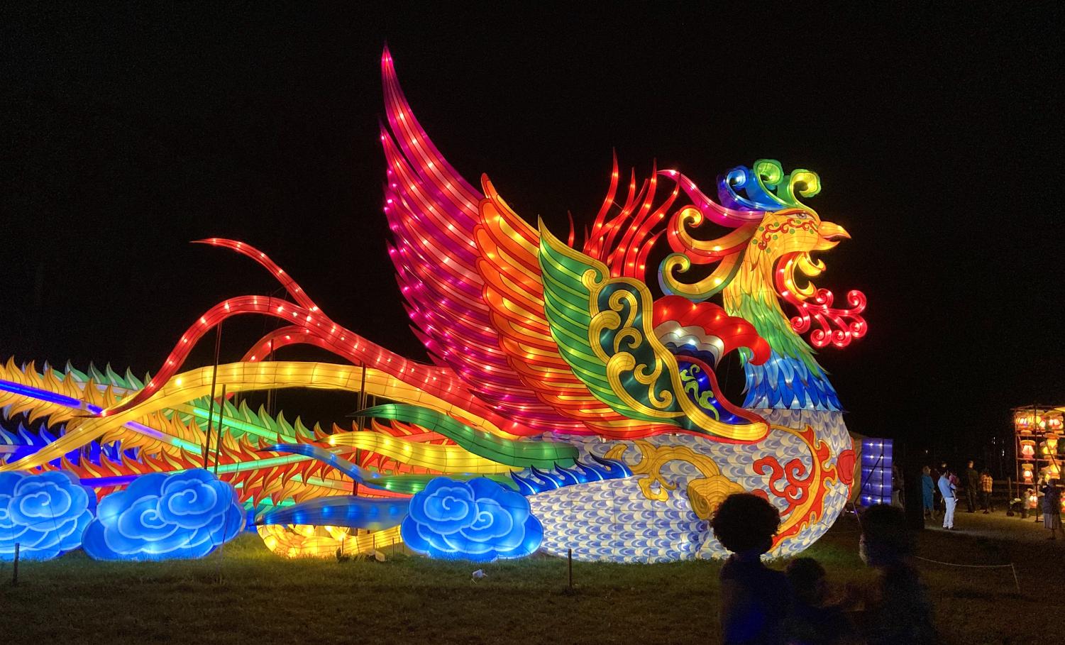 Franklin Park Zoo lights up the night The Raider Times