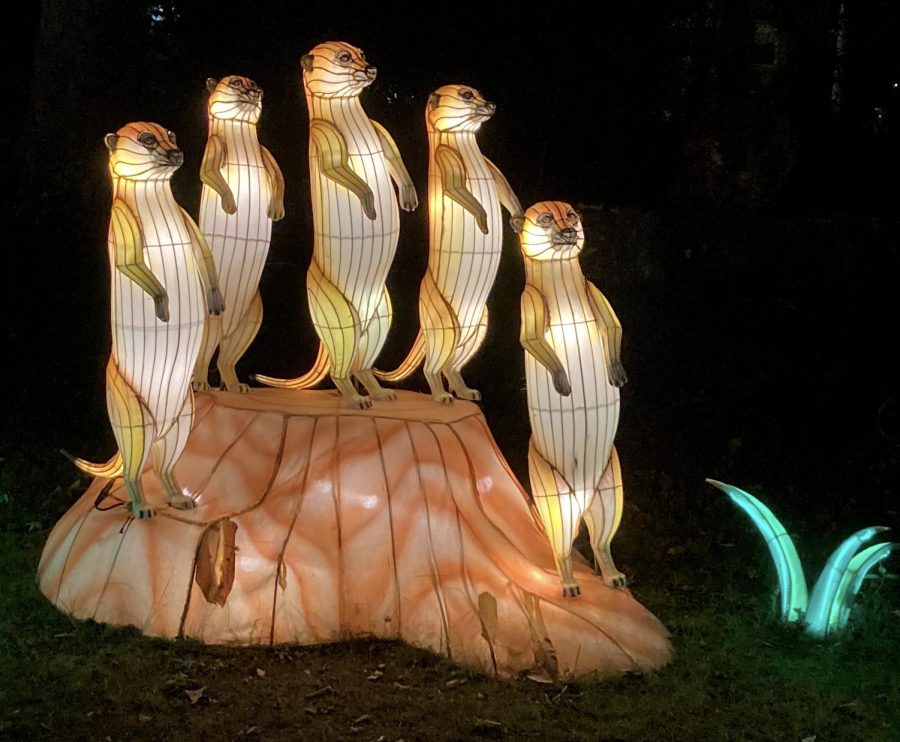 A scene from Boston Lights: A Lantern Experience at Franklin Park Zoo, which runs through Oct. 11, 2021.